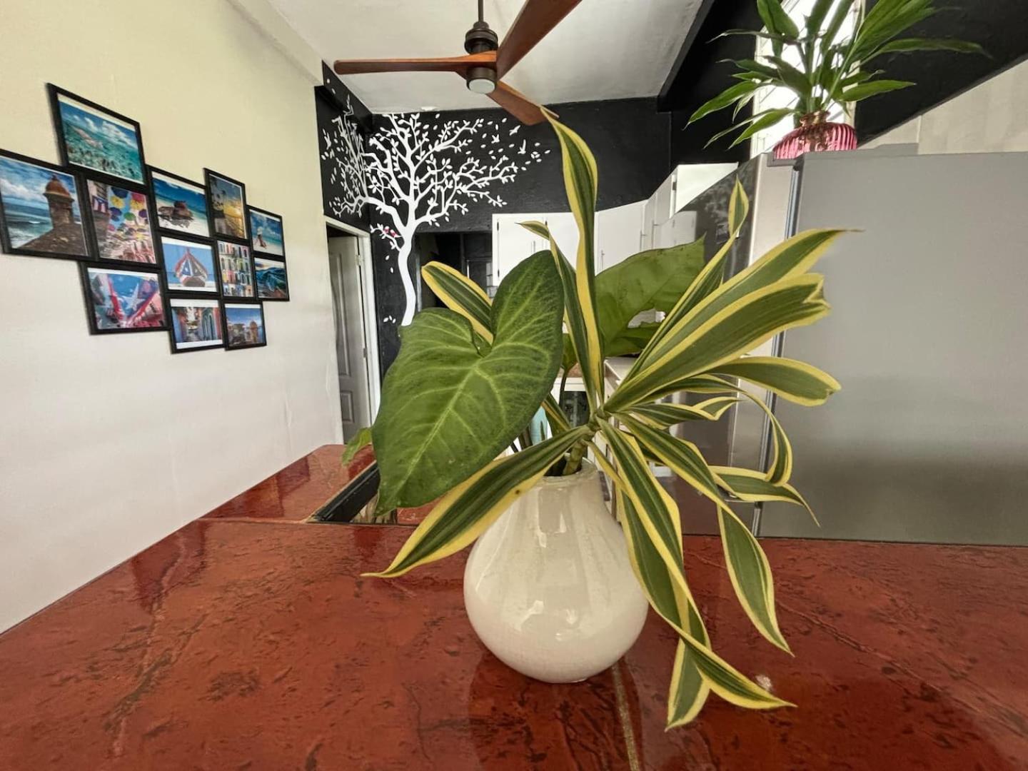 Salo-casa 4 Bdrm House By Here Pr * San Juan